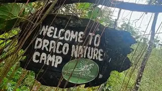 Draco Nature Camp | Chenderiang | Perak