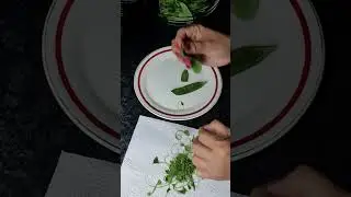 Cleaning Snow Peas #vegetable #shortvideo #youtubeshorts