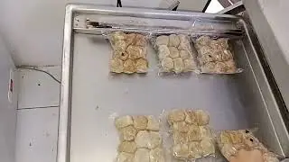 Servis vacuum Sealer double chamber 