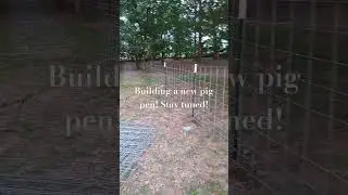 Building a new pig pen!