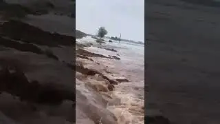 Shutrana ( Patran ) Punjab #patrannews #punjab #viral #video #flood #2023