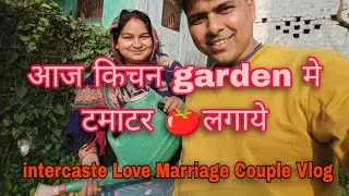 Kichan garden मे टमाटर🍅 लगाये🍆#lovemarriage #villagelife #gardening #vlog #trending 