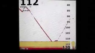 Swimbait Techniques - for Lake Trout