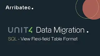 Unit4 ERP Data Migration 2.2 - SQL - View Flexi-Field Table Format