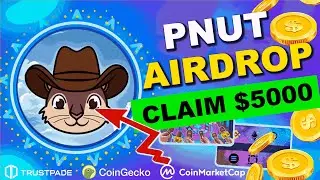 Peanut the Squirrel (PEANUT) AIRDROP $3500 | Meme Coins Going Nuts 🐿️🚀