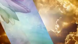 Angelic Encounter