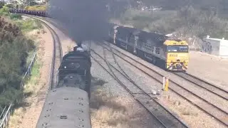 NSWGR 5917 Port Waratah Picnic Train (Outbound)