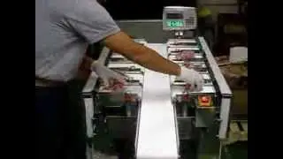 Semi Automatic Multihead Weigher/Halbautomatische Mehrkopfwaage TSDW-205W,  Yamato Scale