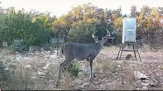Baker 3 Ranch Game Camera #8 2025