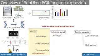 Realtime qPCR Part - 3