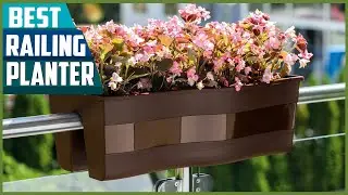 Best Railing Planters - You Can Buy