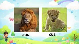 Animal Babies for Kids 🐶🐱 Learn Baby Animals | Part 1