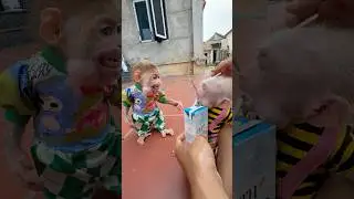 Bibi scares the baby
