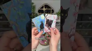 🪴 Enchanted | Pack an Order With Me | Two Mystery Bundles! 