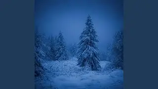 cold (super slowed + reverb)