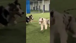 #siblingfun