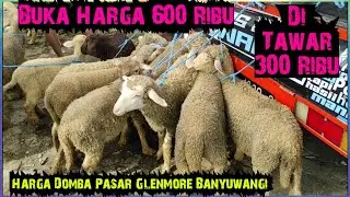 Harga Domba Pasar Masih Murah. Pasar Glenmore Banyuwangi Jawa Timur