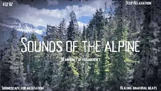 Pine Sap | Sounds of the Alpine | 432 Hz Music for Relaxation, Meditation, Healing, Binaural work