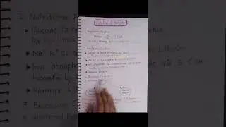 👉Part 9function of placenta👍🧑&zwj;⚕️#youtube #learning#medicalstudent 