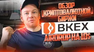 Обзор  криптовалютной биржи BKEX.
