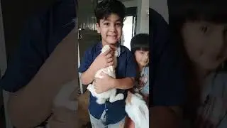 #youtubeshorts #animal #pet #bunny #rabbit #cute