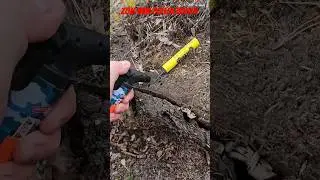 Zom Bum Polen Boller 2g