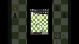 tutorial catur queen gambit