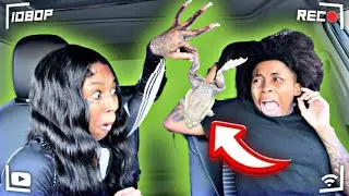 БРОСАЮ ЖИВУЮ ЛЯГУШКУ 🐸 В МОЮ РАЗОЗЛЕННУЮ ДЕВУШКУ!!! *ВСЕ ПОШЛО НЕ ТАК* 😱