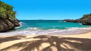 Tropical Ocean Bossa Nova 🌊 Relaxing Brazilian Jazz Caf&eacute; Music for Work, Study & Brunch ☕🎷