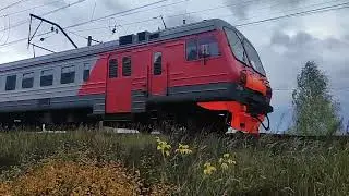 Autumn suburban train