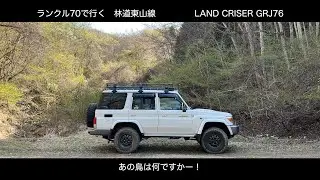 ランクル70で行く林道東山線　LAND CRUISER GRJ76　　あの野鳥は何でしょうか？誰か教えて！