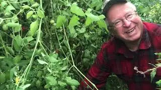 Climate Conversations: Gale Woods Farm