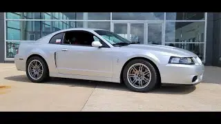 2003 10TH ANNIVERSARY SVT COBRA!