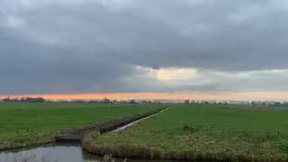 Klapperende velduil