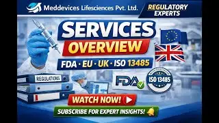 Medical Device Regulatory Services Explained | FDA &bull; EU &bull; UK &bull; ISO 13485