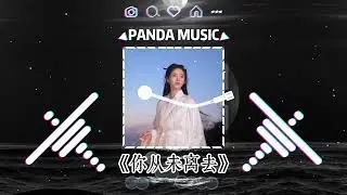 白挺 - 你从未离去 (抖音DJ版) Bai Ting - Ni Cong Wei Li Qu『微弱的星光，是浩瀚的流浪，许下了愿望。』【動態歌詞｜Vietsub｜Pinyin Lyrics】