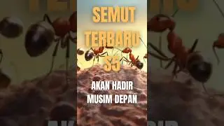 SEMUT TERBARU S5 AKAN MUNCUL MUSIM DEPAN (THE ANTS UNDERGROUND KINGDOM)