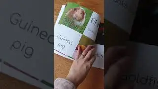 A look inside My First Bilingual Cantonese - English Animal Book