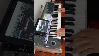 coraz&oacute;n serrano mix dina paucar