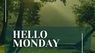 Monday Morning Vibes 🌞 | Feel-Good Songs to Start Your Week Fresh