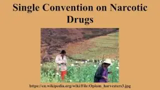 Single Convention on Narcotic Drugs