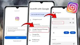 How to Recover Your Instagram Password if Forgotten 2025