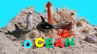 LEARNING OCEAN ANIMALS | NATURE | EDUCATION | TOYS AND FUN FOR CHILDREN | COLORS | SEA ANIMALS