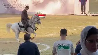يزيد و أحمد الصعيدي 🐴