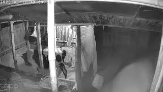 17 May 2025