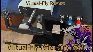 Virtual-Fly After One Year