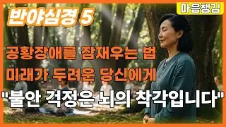 1분만에 공황장애 안정법ㅣ아무것도 하지말고 듣기만 하세요ㅣ불안은 뇌의 착각입니다ㅣ당신은 속고 있습니다ㅣ이야기로 풀어보는 반야심경 ㅣ공감사연ㅣ심리치료ㅣ마음챙김ㅣ오디오북 ㅣ치유 롱폼ㅣ