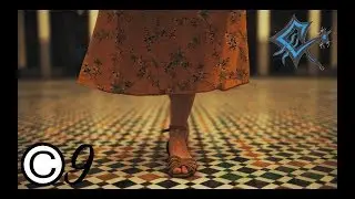 🎬 Taryn Elliott - Mosaic Walk 🌌 Human (No Copyright Video 9) [4K] 🇲🇦