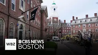 Harvard researcher gets stop work order after Trump freezes federal funding