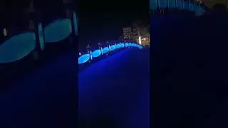 Вечерняя атмосфера в отеле Parrotel Lagoon Resort  Egipet Sharm el Sheikh